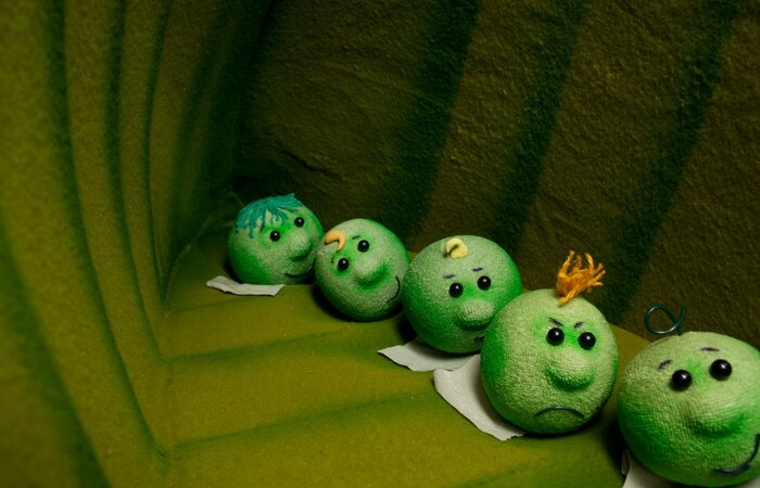 PEA CHILDREN 01 photo EVALDS LACIS.jpg